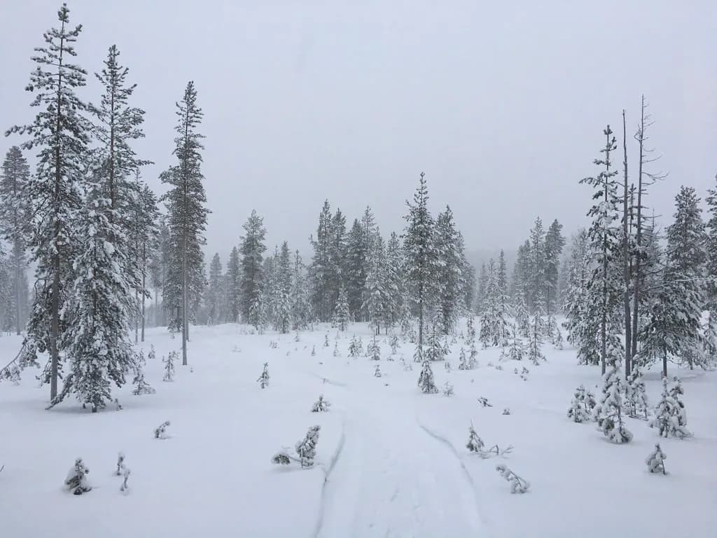 Christmas Sauna in Finland: Where to Go and What to Expect