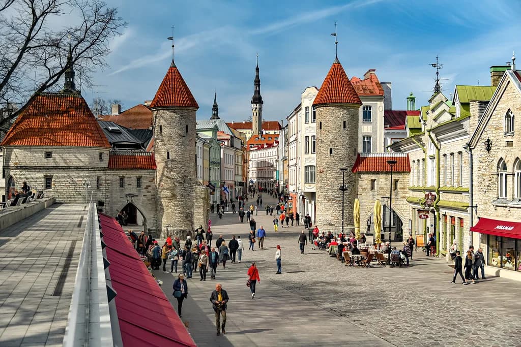 Kalma Saun, Tallinn: A Guide to the 1928 Kalamaja Bathhouse