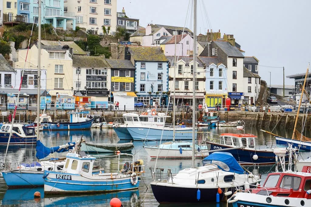 Saunas in Devon: Decide on Wood-Fired Cabins & Cold Dips