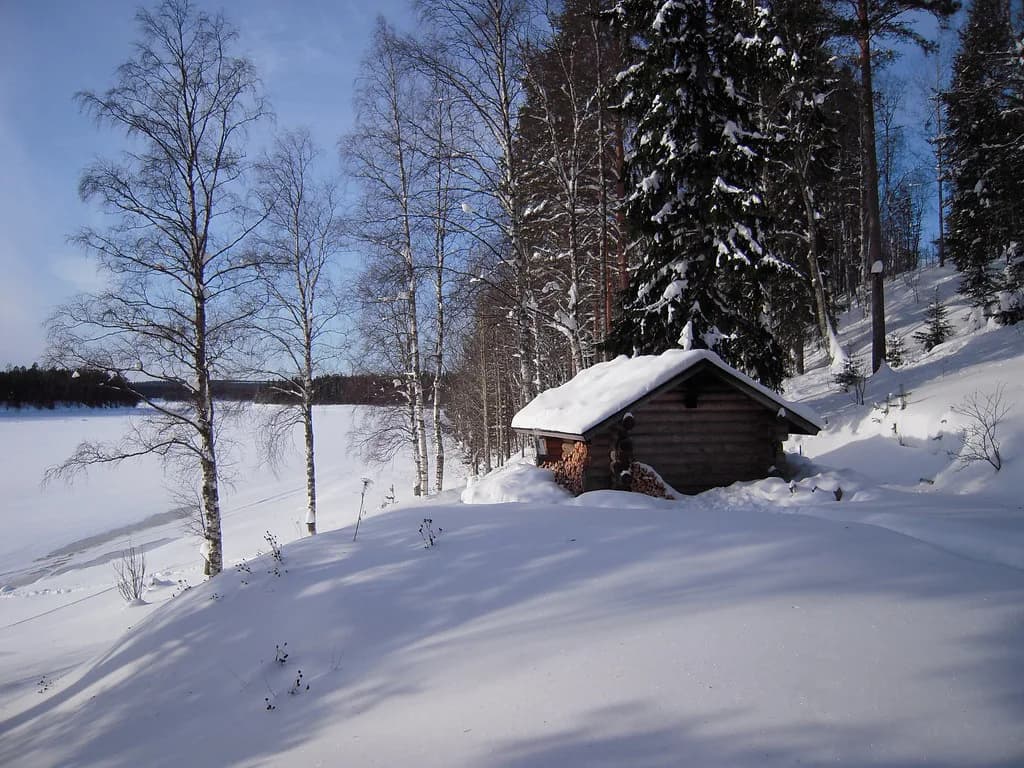 Scandinavian Sauna: Finnish, Swedish, Norwegian and Danish Traditions
