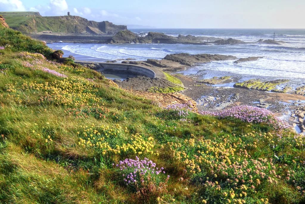 Saunas in Bude: Sea Saunas on the North Cornwall Coast