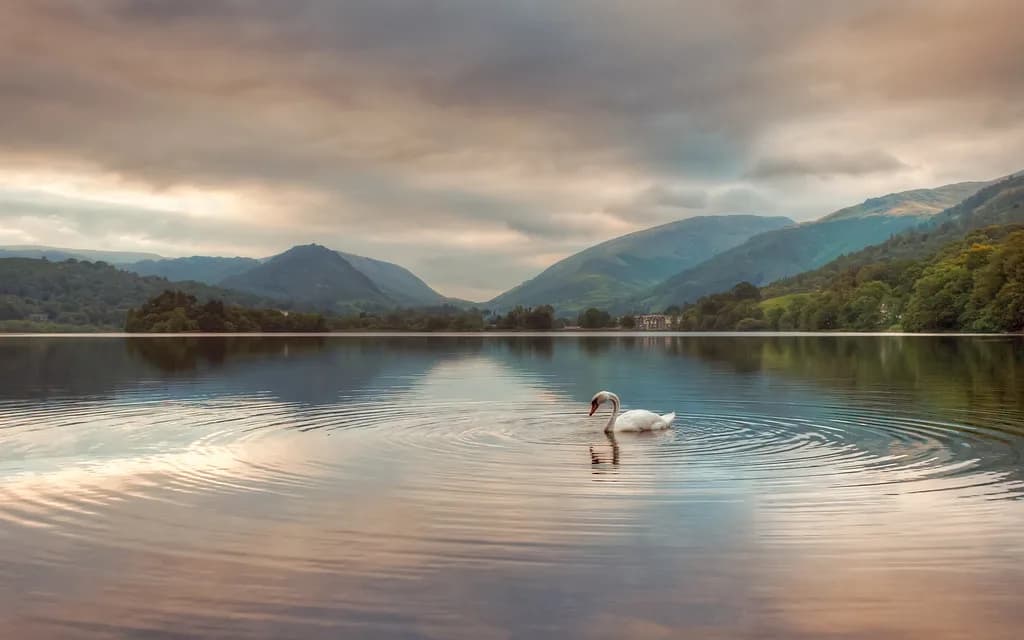 Saunas in the Lake District: Wood-Fired Lakeside Sessions