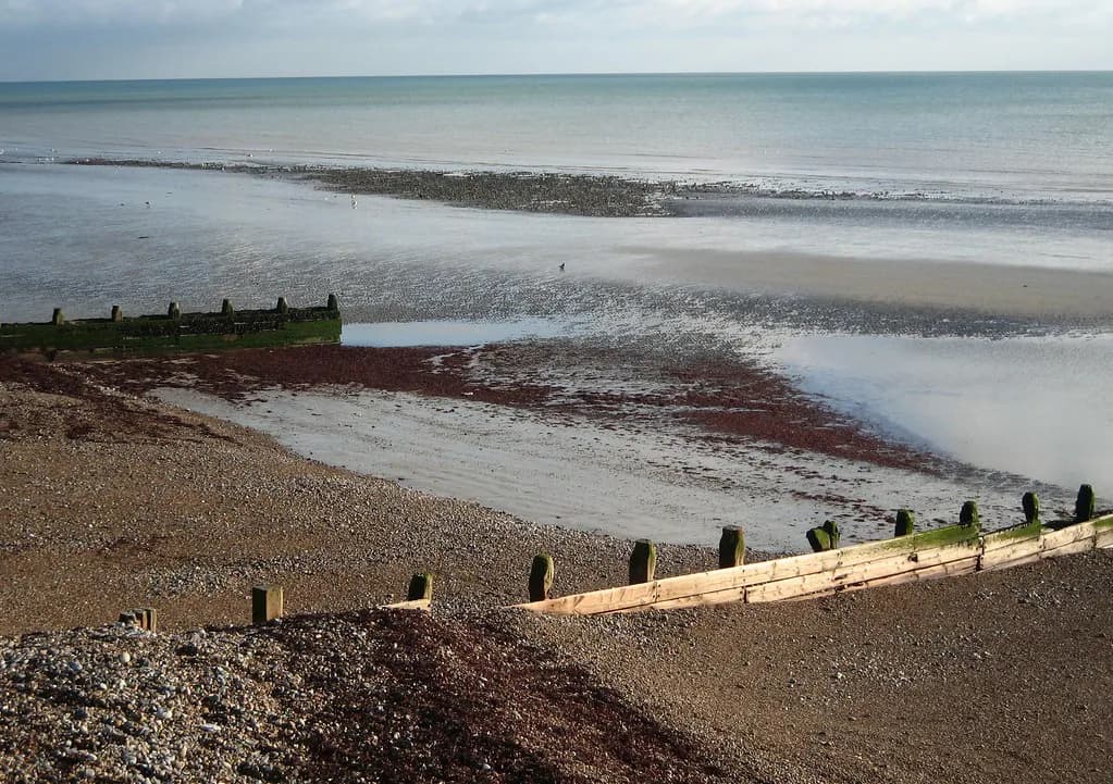 Saunas in Worthing: Beach Saunas and What to Expect