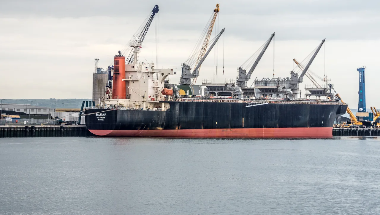 Belfast Port - Ship Unloading