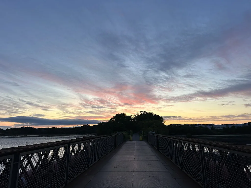 Bridge leading into tree-lined path at sunset near Cork, Ireland, July