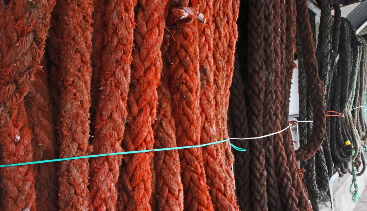 Newlyn Harbour Ropes, Exeter