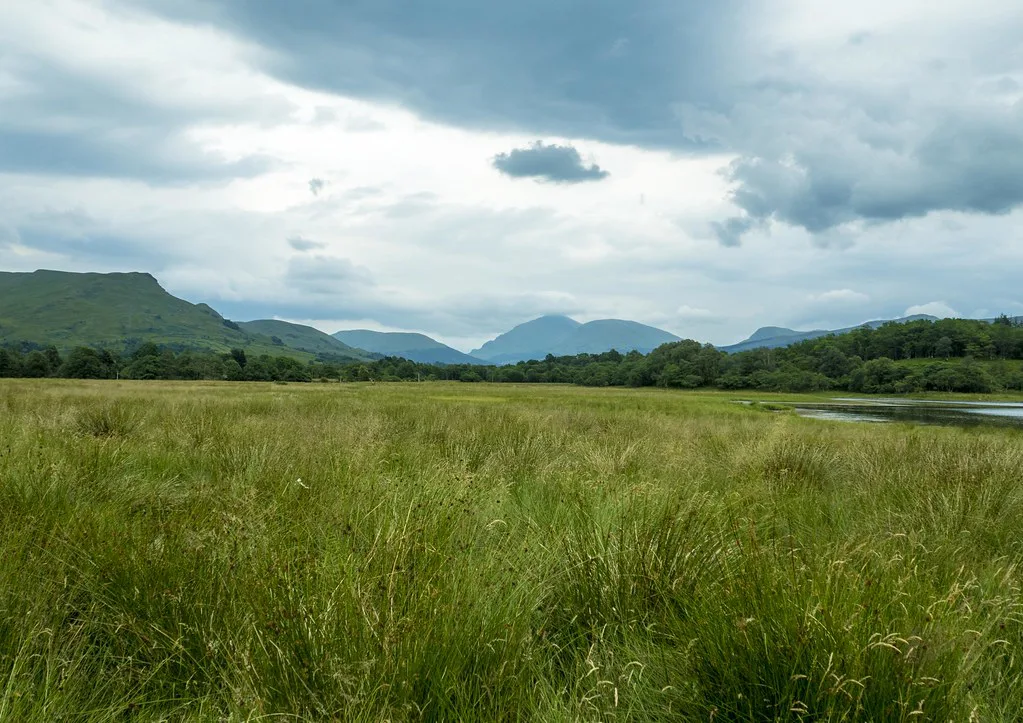 Waterfront in Scottish Highlands, United Kingdom