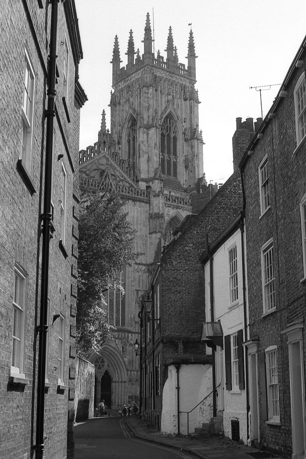 York Minster From Precentor's Court