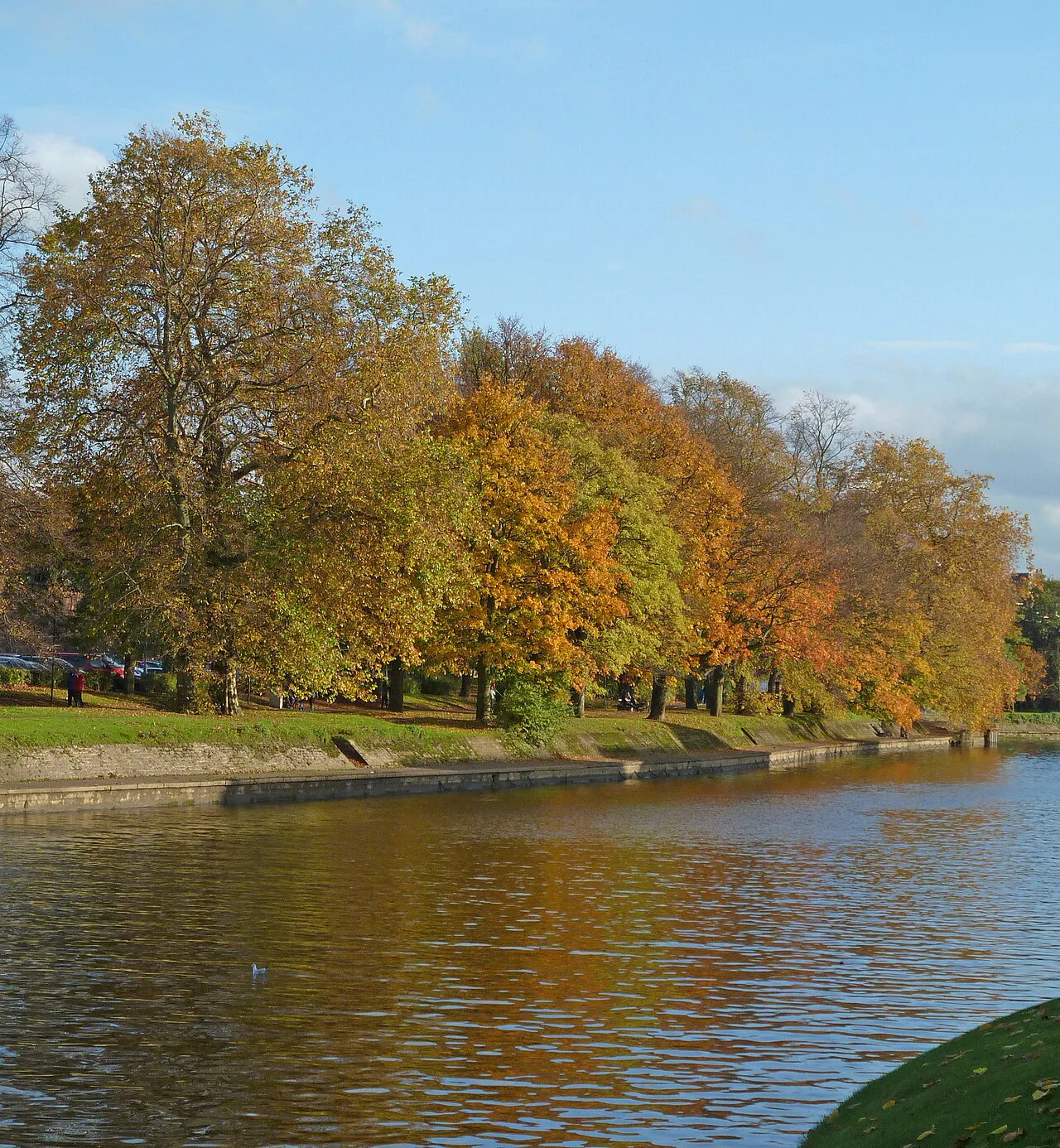 Autumn by the River Ouse, York