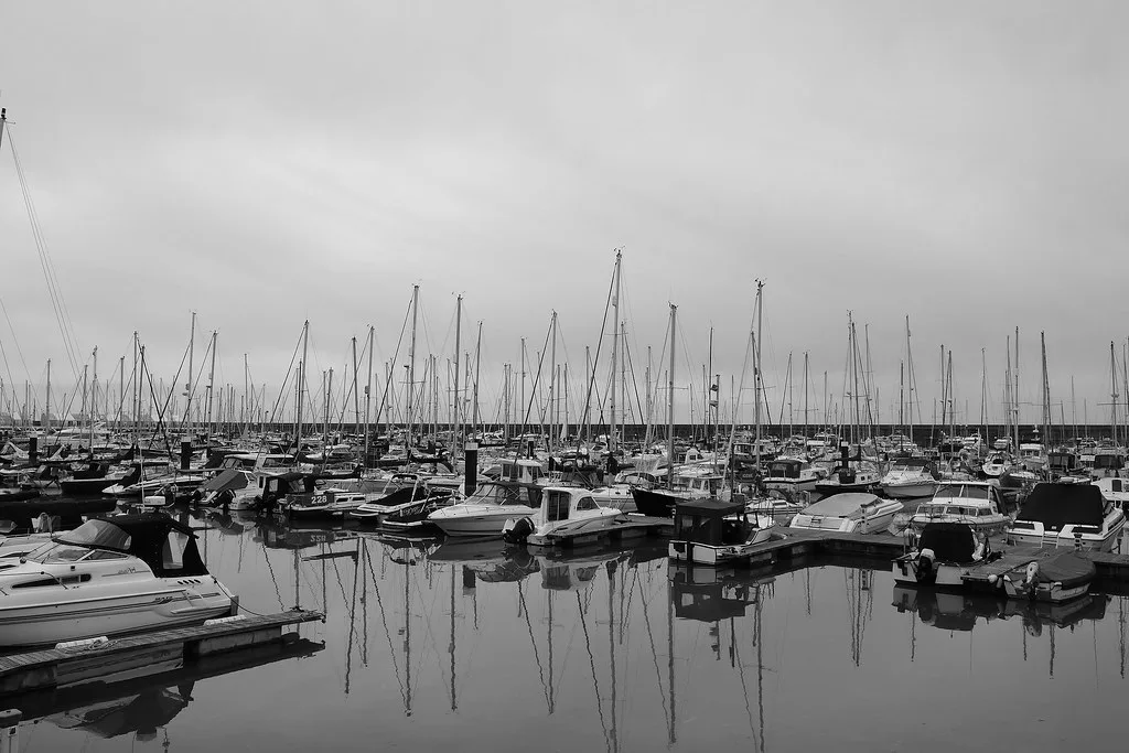 Harbour Chaos, Brighton
