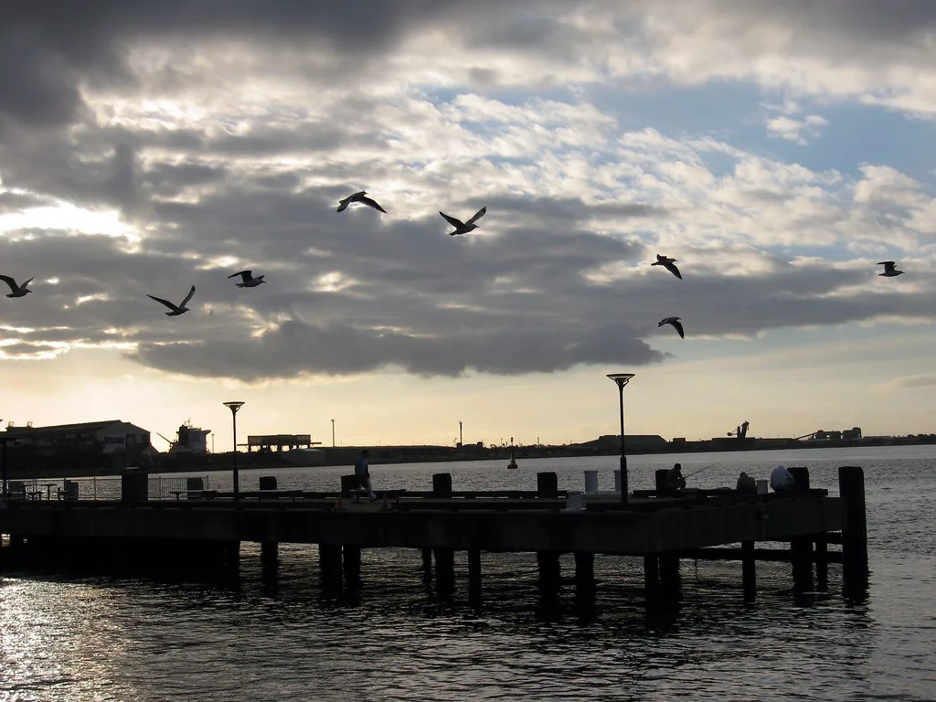 newcastle harbour