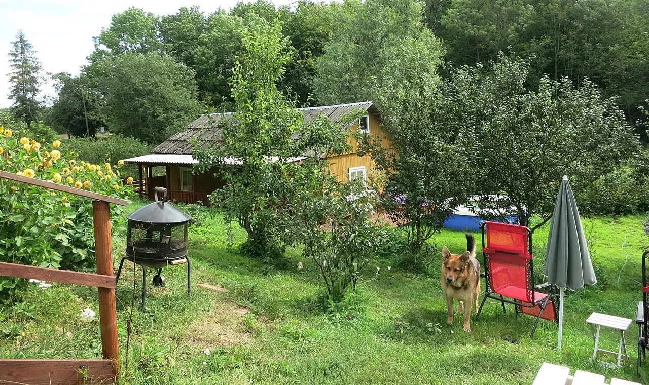 Estonian yard and sauna, Europe